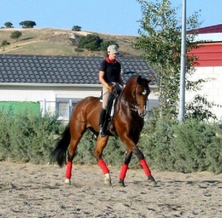 Estilo inglés en Cerdeña 